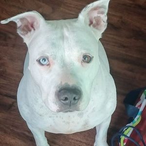 Meet your Posher, Kay